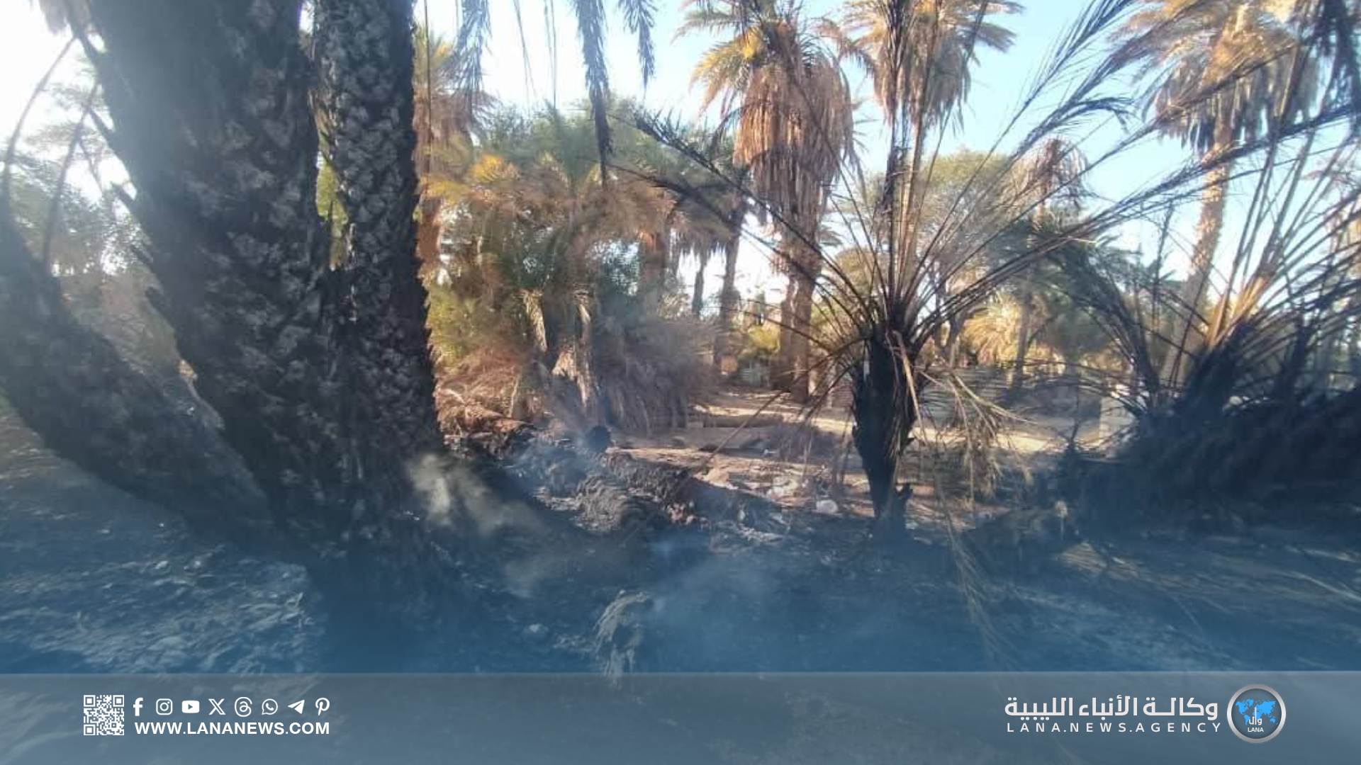 السيطرة على حريق بمزرعة نخيل في مرادة 