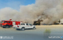 حرائق تلتهم غابات النخيل في تازربو والمجلس البلدي يُطلق نداء استغاثة