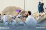 وصول أولى دفعات الحجاج الليبيين إلى بنغازي