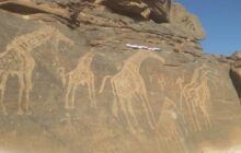 اكتشاف موقع أثري جديد بجبل الحساونة جنوب غرب ليبيا