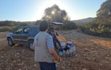 إطلاق 72 أفعى كوبرا في محمية وادي الناقة يثير جدلاً بيئياً واسعاً