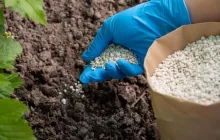 سوء استخدام الأسمدة.. خطر يهدد الإنتاج الزراعي في ليبيا