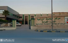 إطلاق مشروع وطني لدراسة تأثير نبات الشيح في علاج السرطان