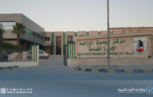 مركز البحوث الزراعية يُحذّر من الحصاد العشوائي لنبات الشيح