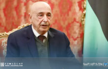 رئيس مجلس النواب يشيد بتعيين الناظوري مستشارا للأمن القومي