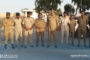 لقاء تنسيقي بين المركز الثقافي الليبي وأكاديمية الدراسات العليا ببنغازي