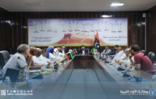 وكيل عام الصحة يبحث مع استشاريين سبها خطط إصلاح القطاع في الجنوب