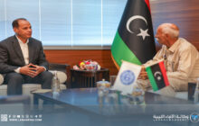 نائب رئيس الوزراء يبحث دعم العمل القضائي وتعزيز إمكانيات المحاكم بالجنوب