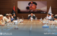 نائب رئيس الحكومة يبحث مع رؤساء دواوين الجنوب تحسين الأداء وتذليل العقبات