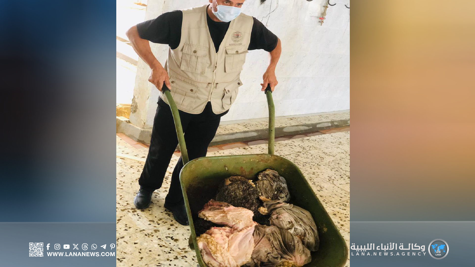 ضبط مُخالفات صحية جسيمة في مجازر ومخابز وادي الشاطئ والبيضاء والجفارة