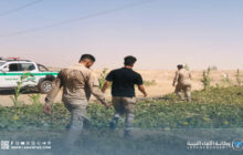 الشرطة الزراعية تضبط بطيخًا مُلوثًا بمبيد محظور في الزويتينة