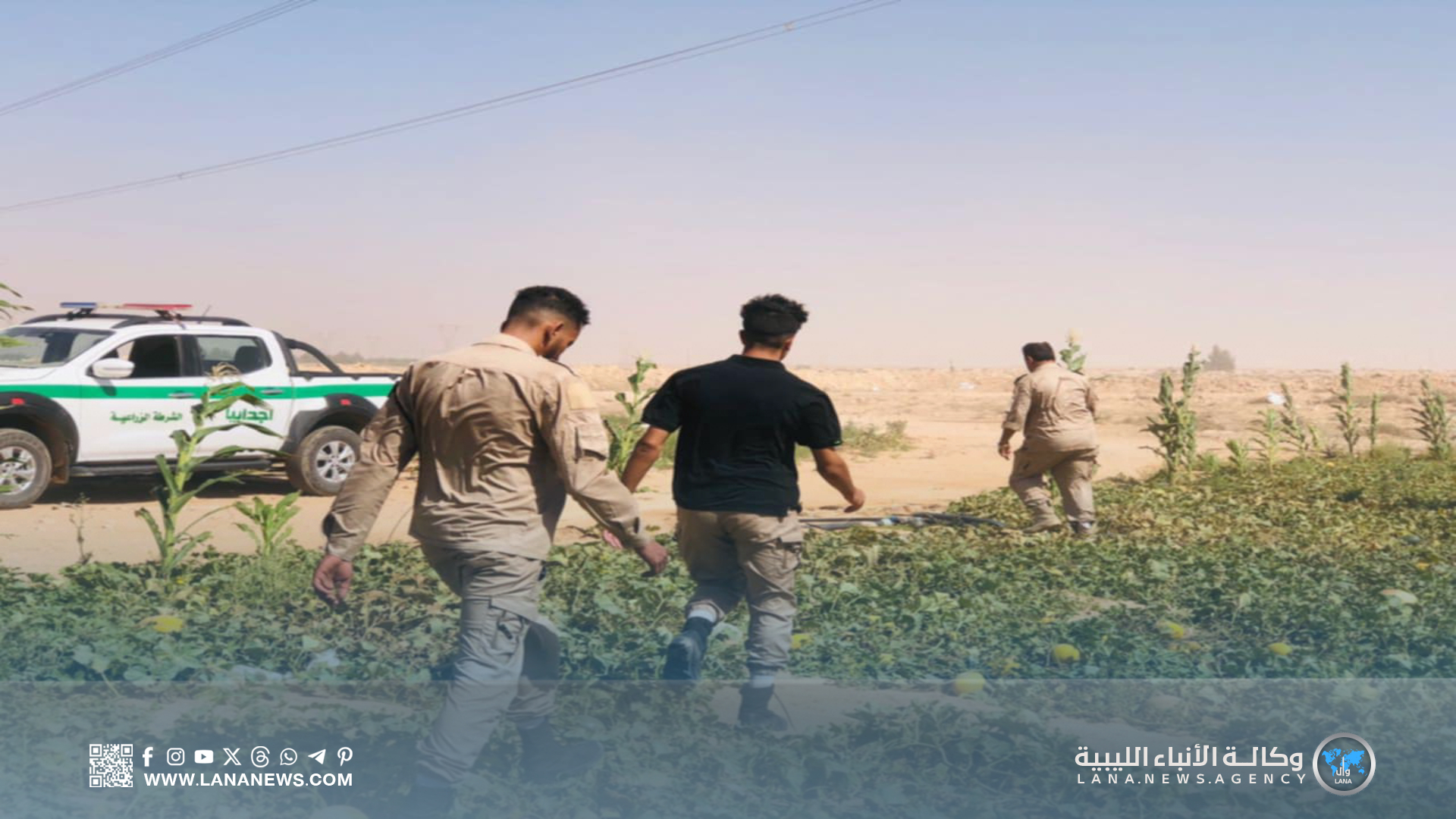 الشرطة الزراعية تضبط بطيخًا مُلوثًا بمبيد محظور في الزويتينة