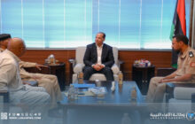نائب رئيس الوزراء يناقش تحديات عمل هيئة السلامة الوطنية بالجنوب