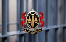 مكتب النائب العام يصدر قرارًا بحبس مالك أسد متهم بتحريض الحيوان على مهاجمة أشخاص