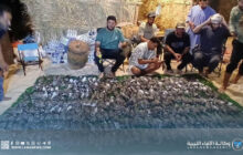 الجمعية الليبية للحياة البرية تدين صيدا جائرا طال مئات الطيور في تازربو