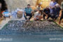 الموت يغيب أقدم المرشدين السياحيين بسلسلة جبال أكاكوس