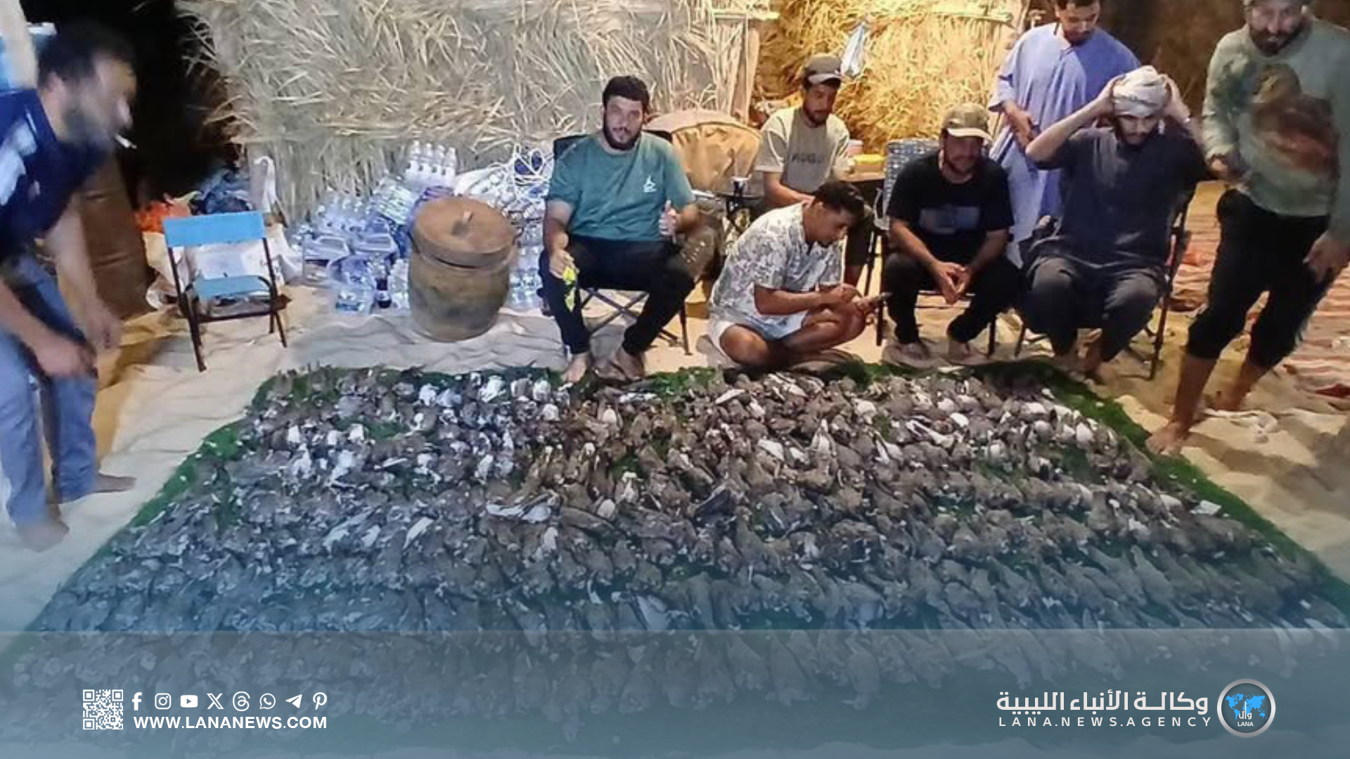 الجمعية الليبية للحياة البرية تدين صيدا جائرا طال مئات الطيور في تازربو
