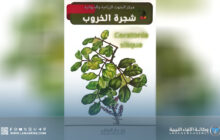 مركز البحوث الزراعية يصدر كتابا علميا جديدا عن شجرة الخروب