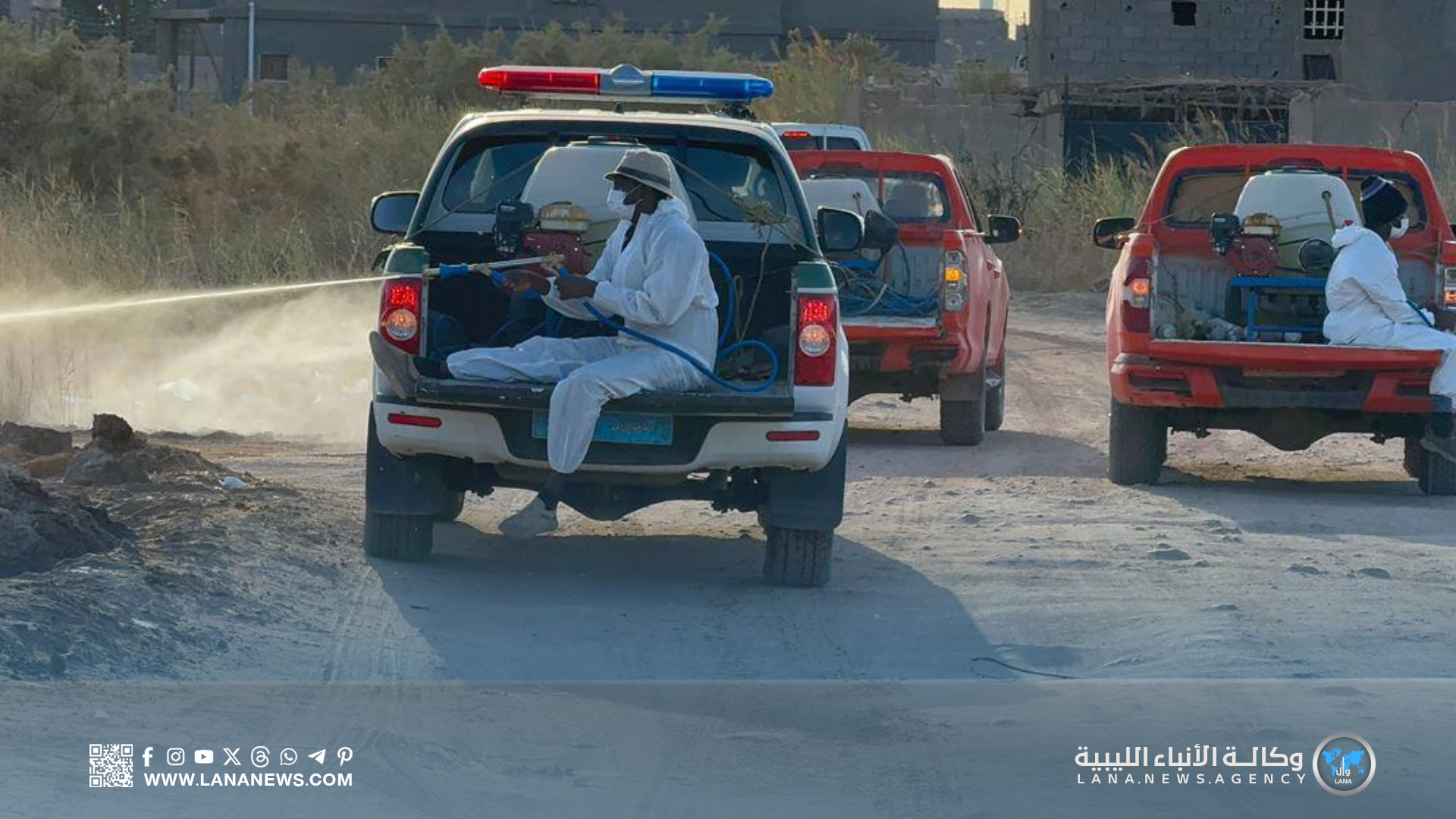 جهود ميدانية مُكثفة للجنة إعادة تنظيم الجنوب في مكافحة العقارب وتنظيف الأحياء