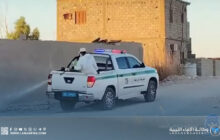 لجنة إعادة تنظيم الجنوب تُطلق حملة لمكافحة العقارب في بلدية الشاطئ