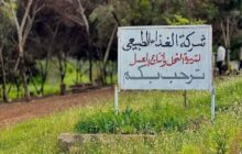 خبير نحل يناشد بحماية محمية بوترابه ويوضح احتياجاتها العلمية والتعليمية