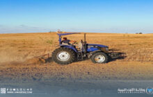 اختتام موسم الحصاد بمشروع الدوائر الزراعية 87 بسرت