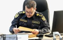إطلاق حملة موسعة لإبعاد الكلاب السائبة من المدن والمناطق الحضرية