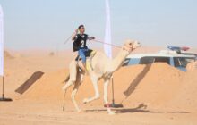انطلاق سباقات المهاري ضمن كرنفال ليبيا التراثي في أوباري