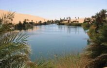 استراتيجية وطنية حتى 2050 لمواجهة الشح المائي والتغير المناخي بالبلاد