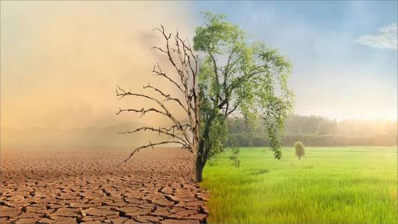 دراسة علمية تحدد الروابط بين الظواهر المناخية المتطرفة والأزمات البيئية