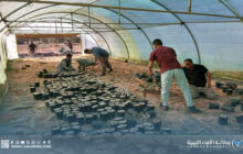 جهاز استثمار مياه النهر الصناعي بالوسطى يجهز الخطة الزراعية للعام المقبل