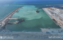 رسو سفينة مواشي بميناء المنطقة الحرة جليانة وحجرها صحيا