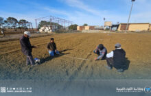 انطلاق فعّاليات الموسم الزراعي 2025/2026 لتجارب القمح والشعير بالبيضاء