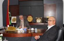 وزير الزراعة يبحث أسباب انتشار سوسة النخيل الحمراء في أوجلة