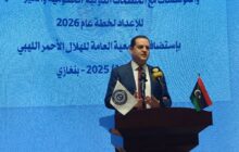 الحويج: لن يُقبل أي نشاط لمنظمات تعمل خارج الدولة الليبية