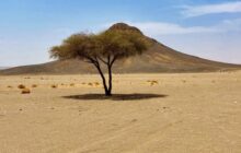 قليب فرجان .. معلم طبيعي وتاريخي بضواحي سوكنة
