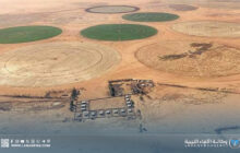 انطلاق مشروع برجوج الزراعي لدعم الأمن الغذائي بوادي عتبة