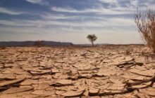 تغيّر المناخ والجفاف يهددان سبل العيش في جنوب البلاد
