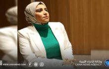منظمة 