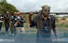 مقتل واعتقال عناصر حركة الشباب الإرهابية بالصومال