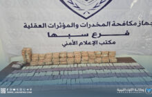 ضبط أكثر من 11 ألف قرص ترامادول في سبها مع مطلع العام الجاري