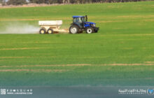 انطلاق أعمال تسميد دوائر الري المحوري بمشروع المزارع الكبيرة بسرت