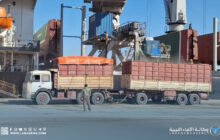 مدير الثروة الحيوانية يؤكد انتظام توزيع أعلاف الدفة رسميا