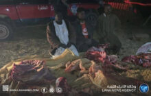 ضبط ثلاثة سودانيين بالكفرة يقومون بذبح أبقار نافقة