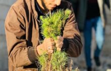 أم الرزم تطلق مبادرة 