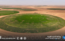 الجهاز الوطني للتنمية يُشرف على نجاح المرحلة الأولى من مشروع غدوة