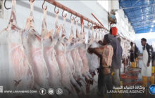 ذبح أكثر من 1200 رأس من الأغنام خلال أربعة أيام بسلخانة سرت