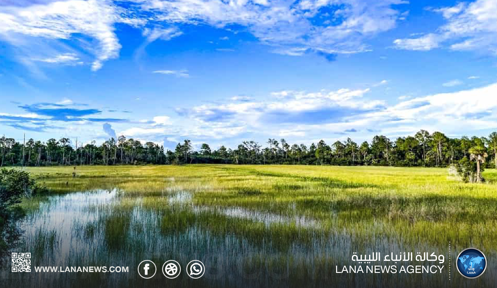خبير: الأراضي الرطبة تحمي البيئة وتوازن التغير المناخي