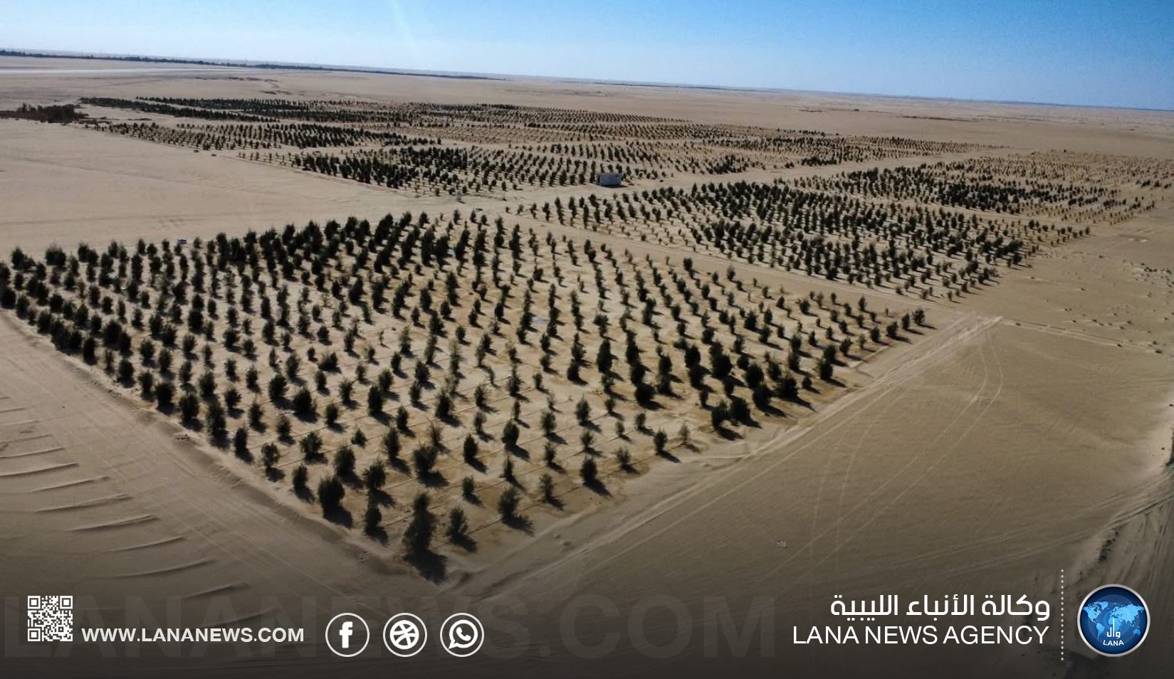 الخليج العربي تنفذ المرحلة الثانية من مبادرة 