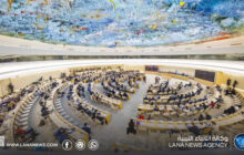 مجلس حقوق الإنسان يعتمد قرارا بشأن فلسطين